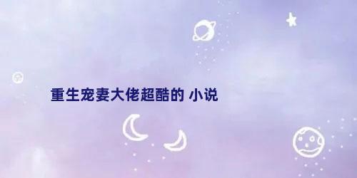 重生宠妻大佬超酷的 小说